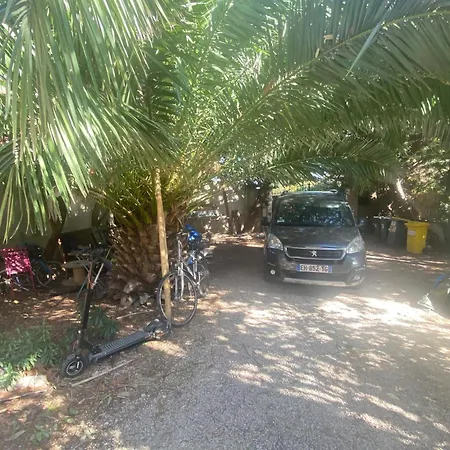 L'oiseau Sur La Branche A 500 M De La Plage *